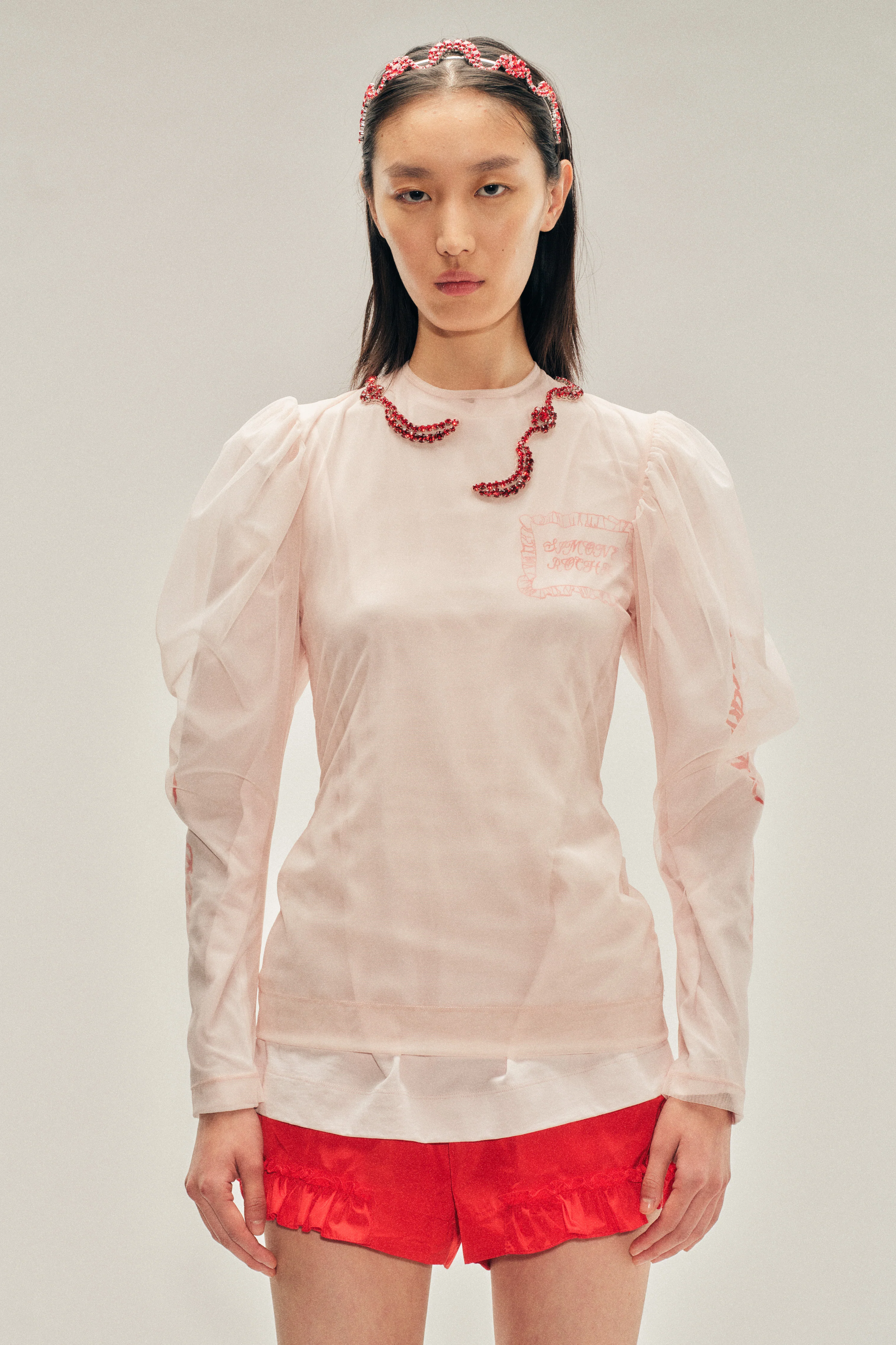 Embellished Sheer Draped Sleeve Top