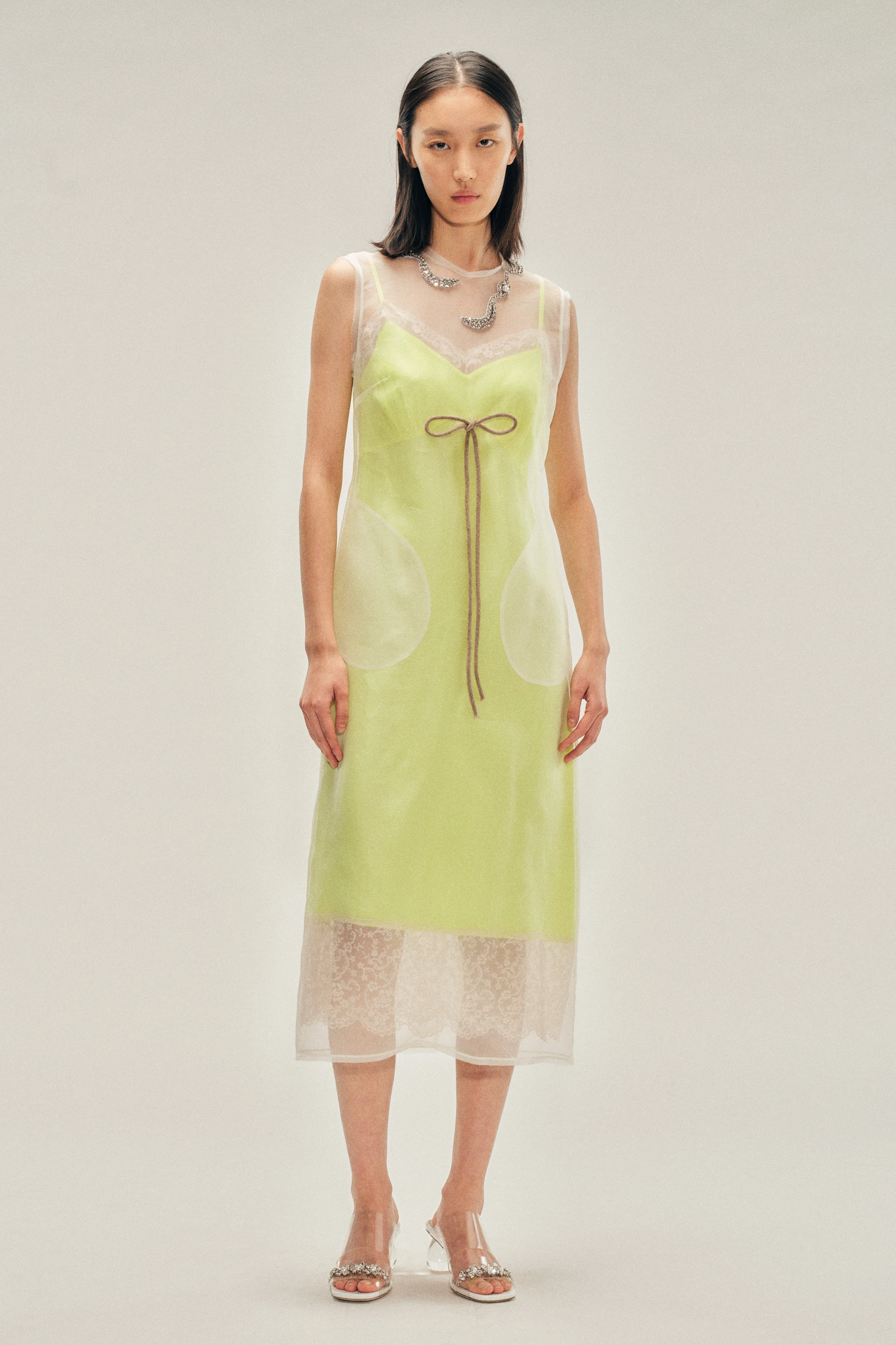 Embellished Sheer Frayed Contour Dart Dress